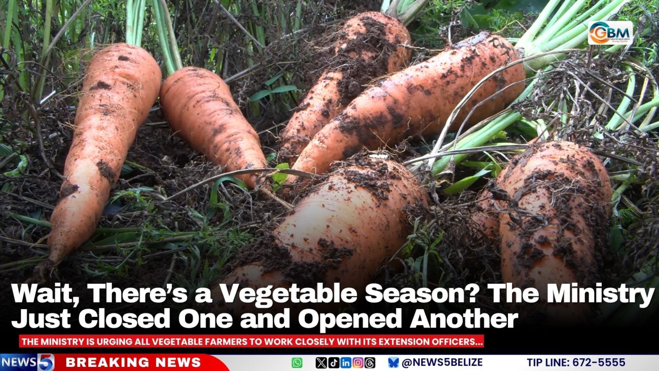Wait, There’s a Vegetable Season? The Ministry Just Closed One and Opened Another