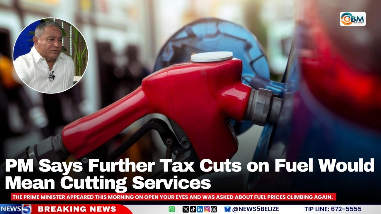 PM Says Further Tax Cuts on Fuel Would Mean Cutting Services