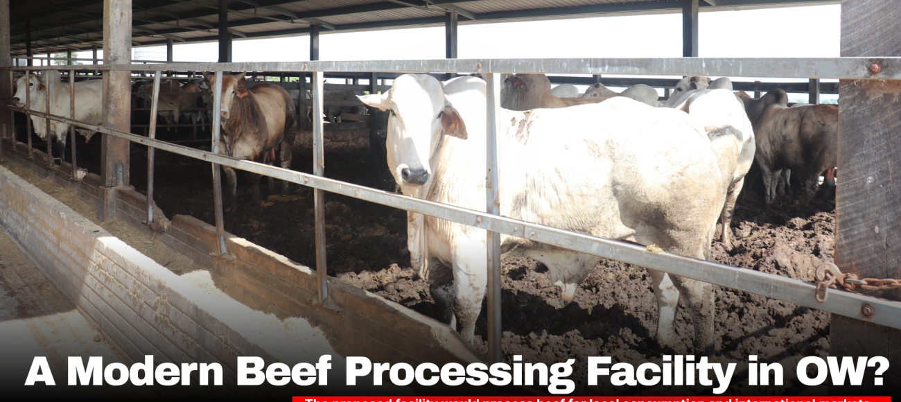 A modern beef processing facility in OW ?