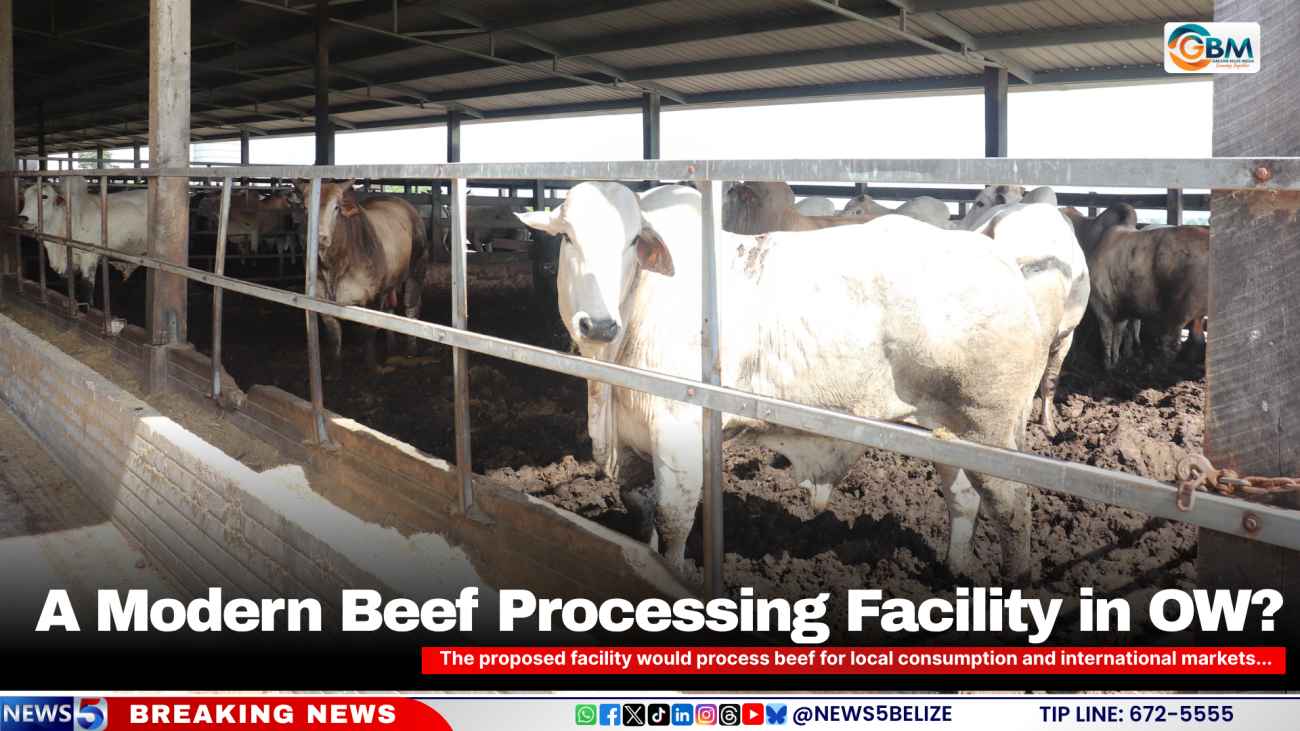 A modern beef processing facility in OW ?