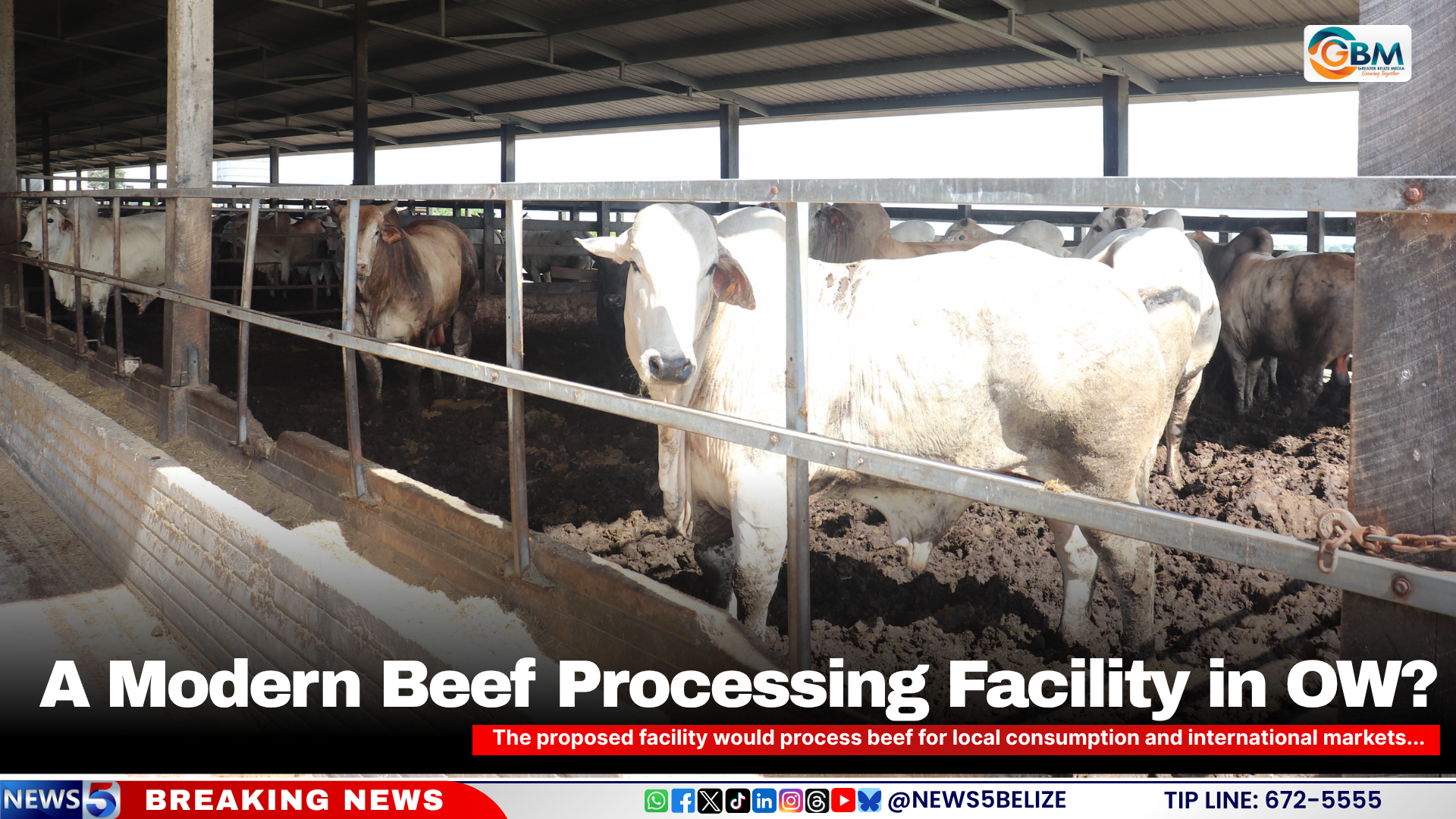 A modern beef processing facility in OW ?