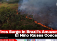 Fires Surge in Brazil’s Amazon as El Niño Raises Concerns