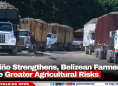 El Niño Strengthens, Belizean Farmers Face Greater Agricultural Risks