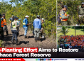 Tree-Planting Effort Aims to Restore Machaca Forest Reserve