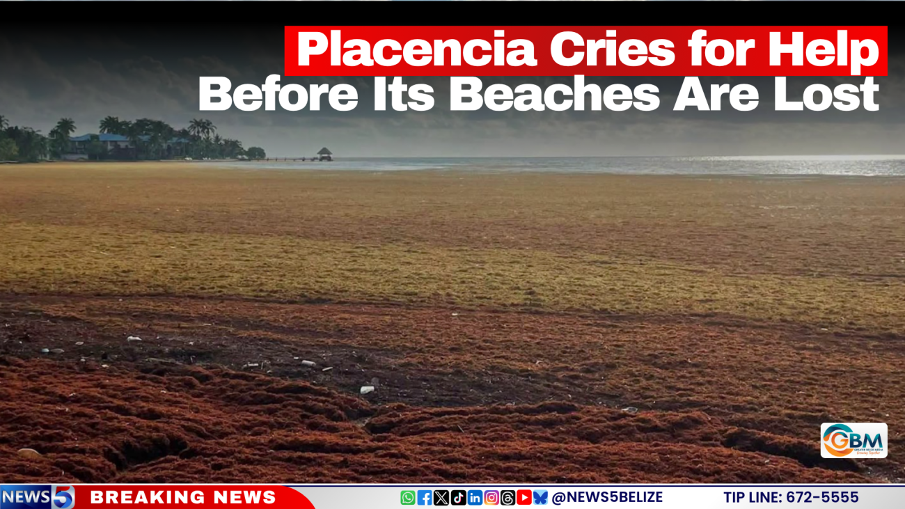 Placencia Cries for Help Before Its Beaches Are Lost