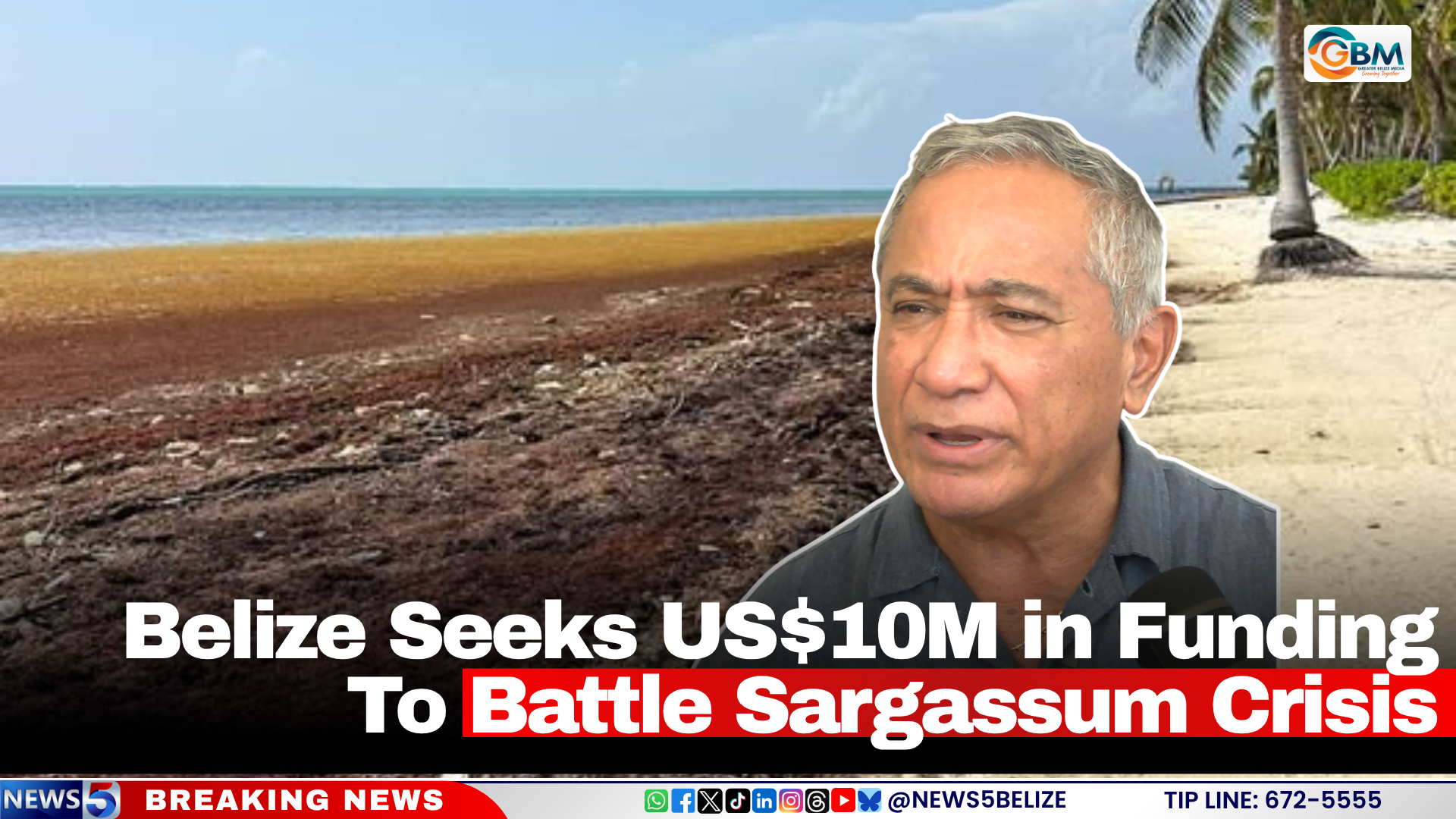 Belize Seeks US$10M in Funding To Battle Sargassum Crisis