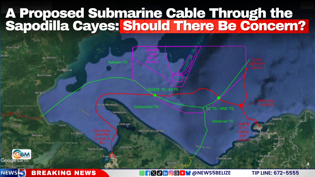 A Proposed Submarine Cable Through the Sapodilla Cayes: Should There Be Concern?