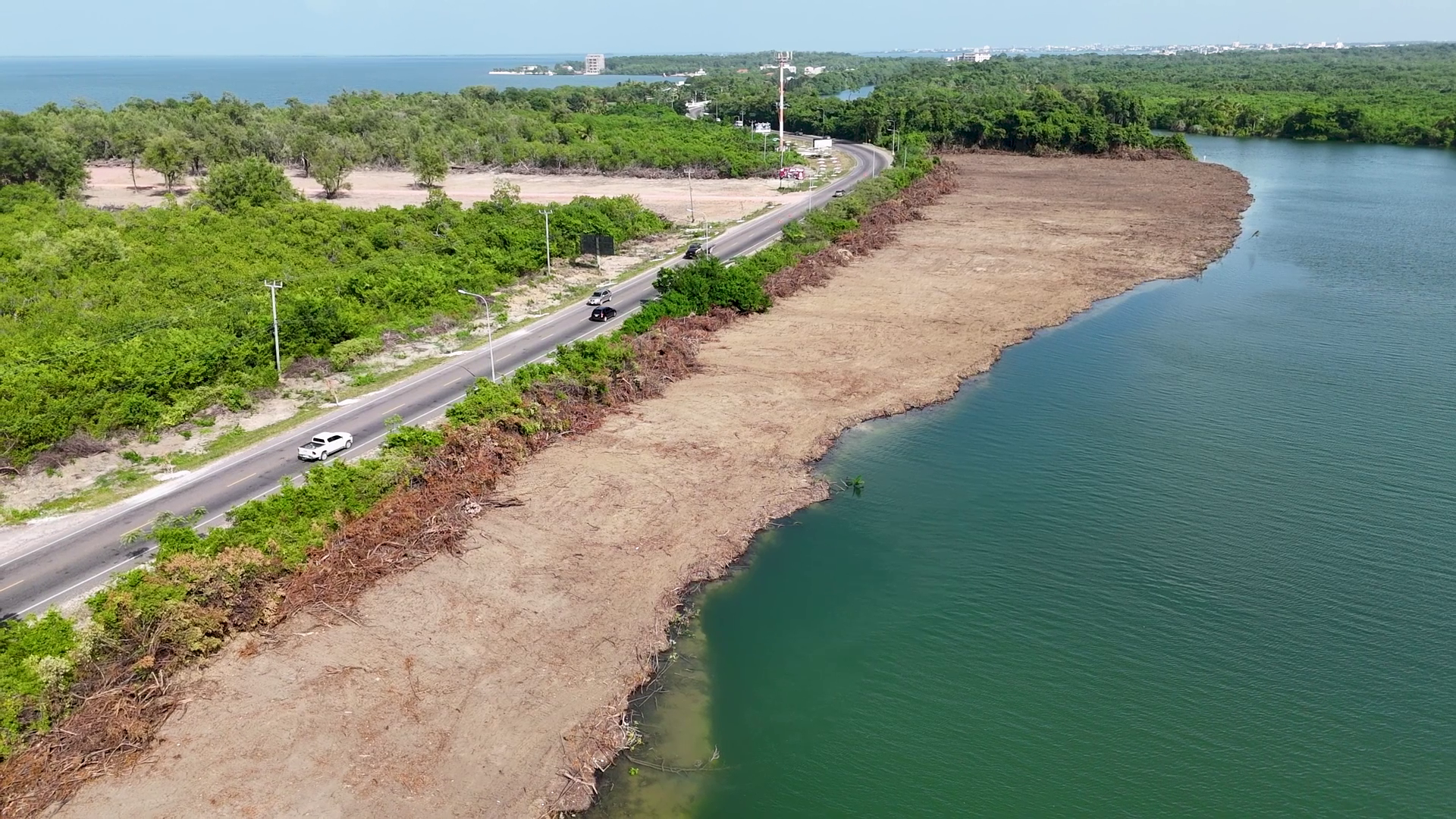 Mangrove Clearing Costs Property Owner $10,000