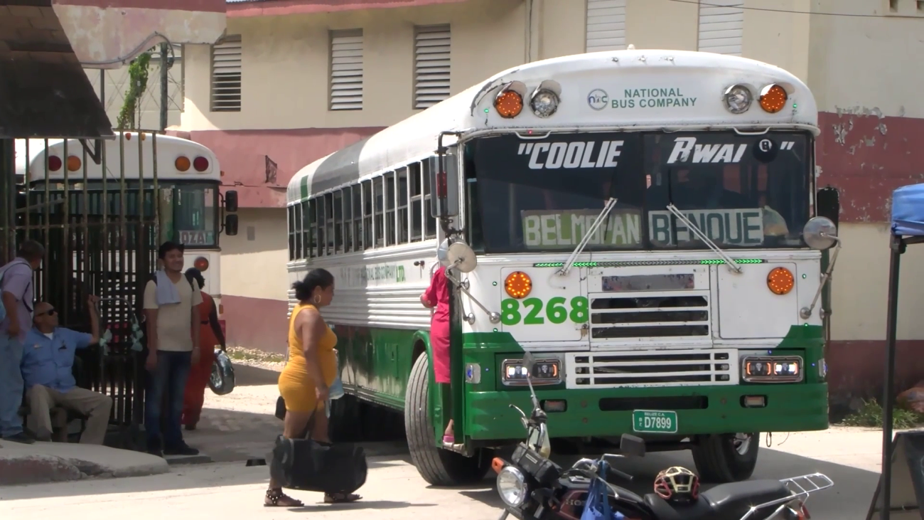 Twenty-Million-Dollar Bus Gamble Gets Legal Protection