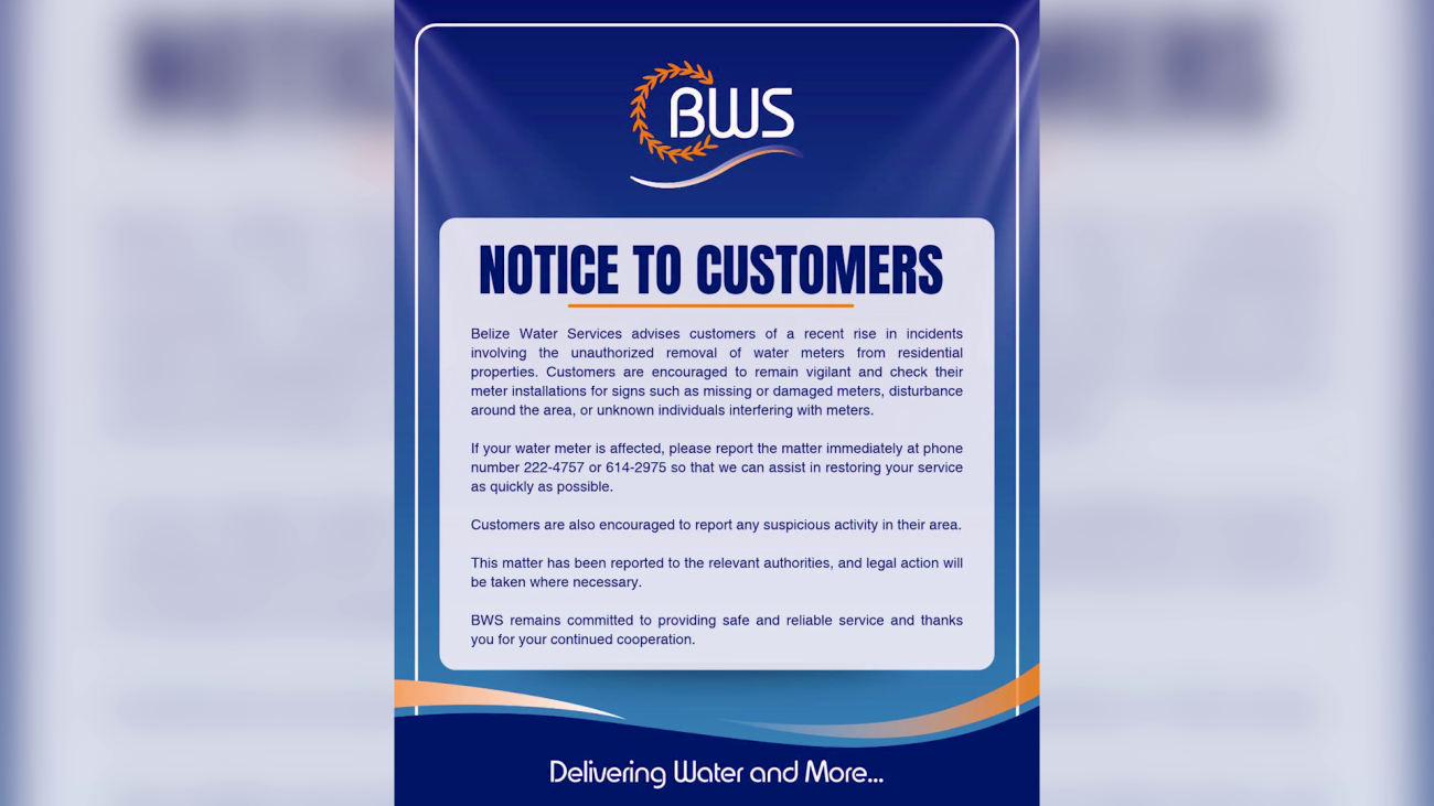 Thieves Target Water Meters in Belize and Corozal Districts