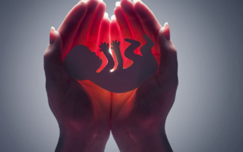 Should The Abortion Option Be Available for Pregnant Teenagers?