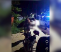 Security Ministry Meets Police After 3 Killings in 24 Hours  