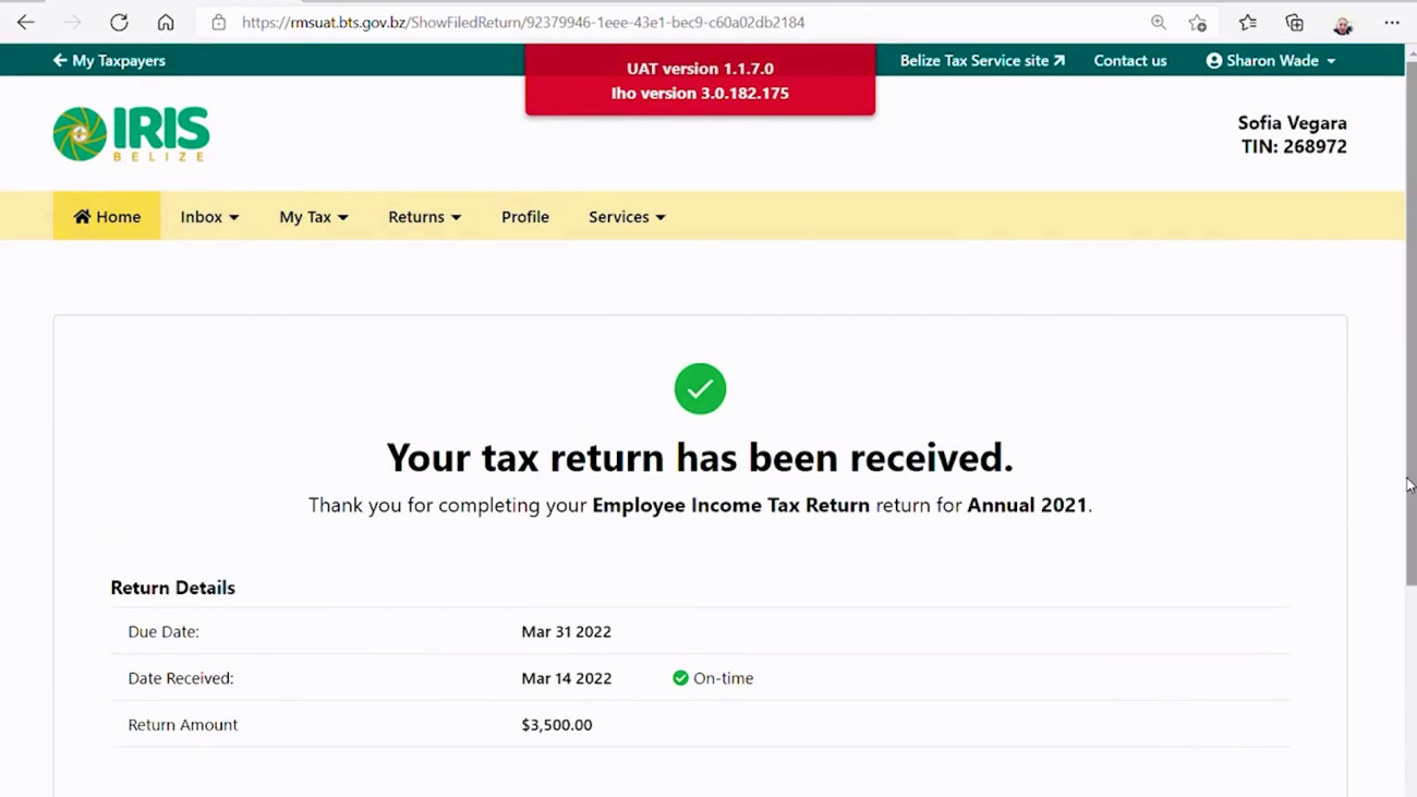 What’s Up With Long Tax Return Delays