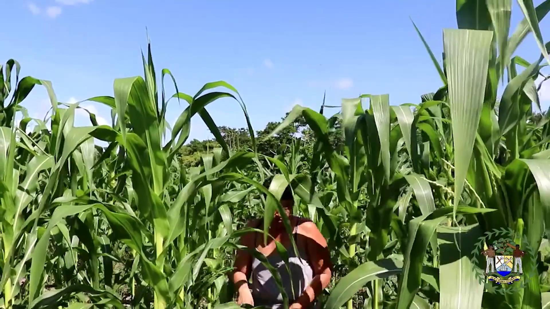Belize Seeks More Climate-Smart Agriculture Investment