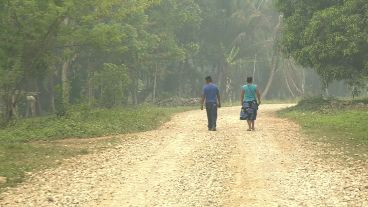 FPIC: Who Decides What Happens on Maya Land?