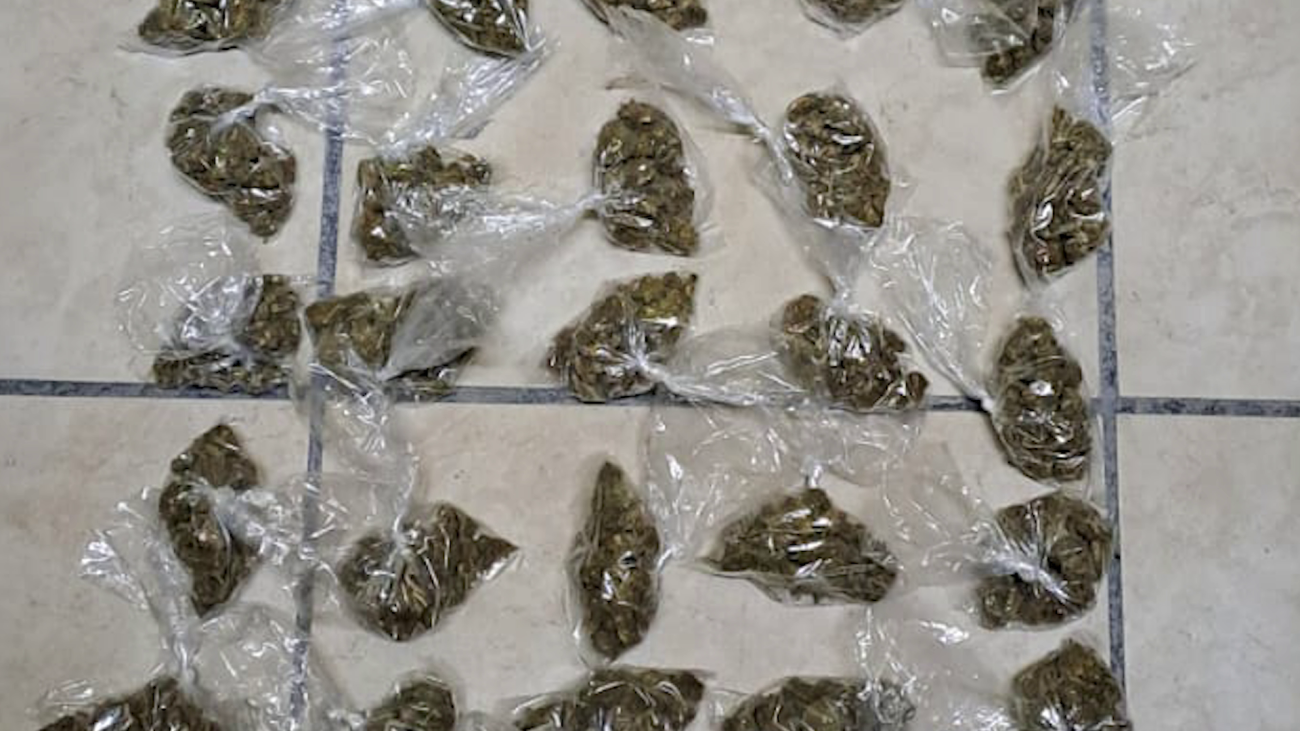 More Drug Busts in San Pedro and Cayo!