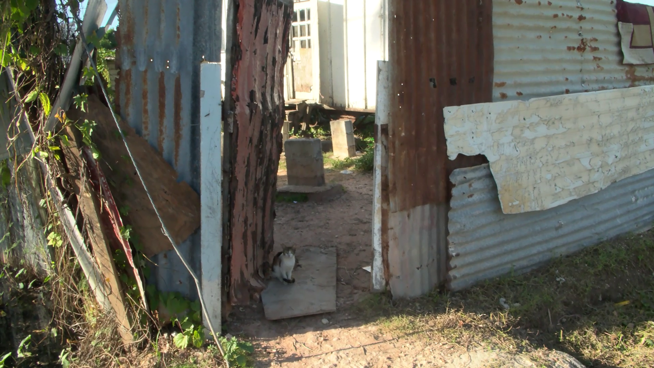 A Shaken Mother Relives Daughters’ Terrifying Shooting