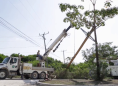 Government Throws BEL a $73 Million Lifeline