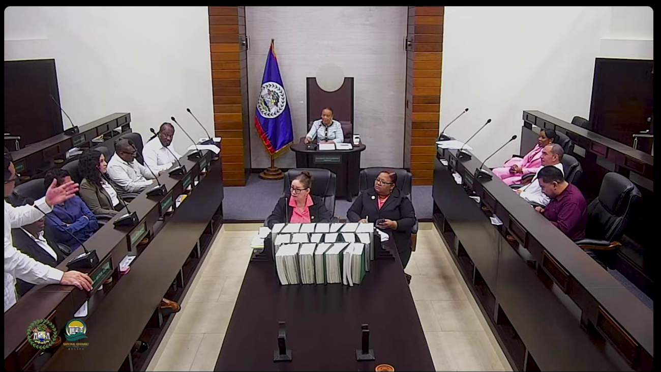 Senate Sitting Suspended Over “Slow” Remarks