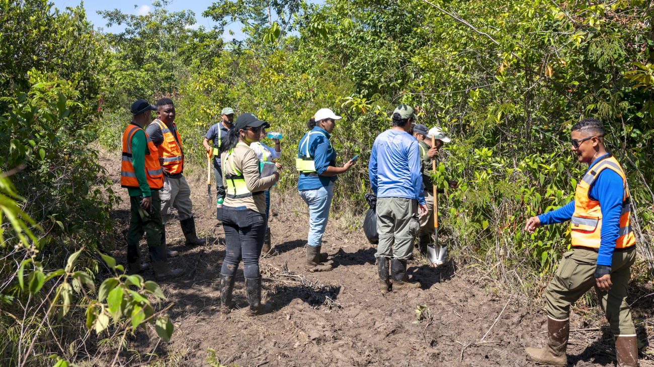 Volunteers Plant Trees in Machaca Forest