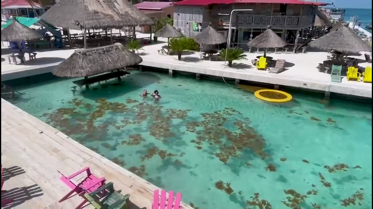 Greatest Threat to Belize’s Blue Economy: Sargassum!